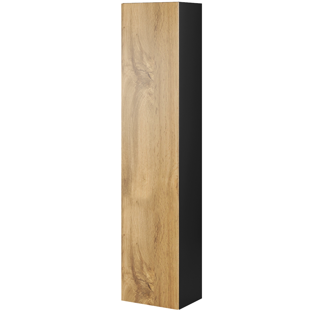 Display cabinet VIGO VG2G black / oak wotan