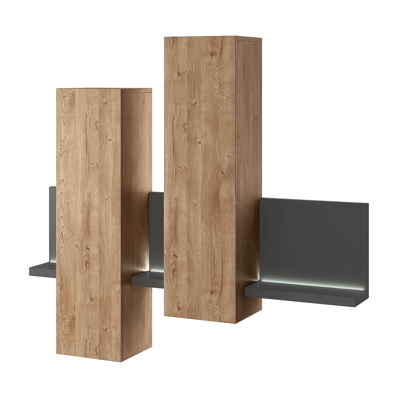 Wall display cabinet BOTA BT04 anthracite / ribbec oak
