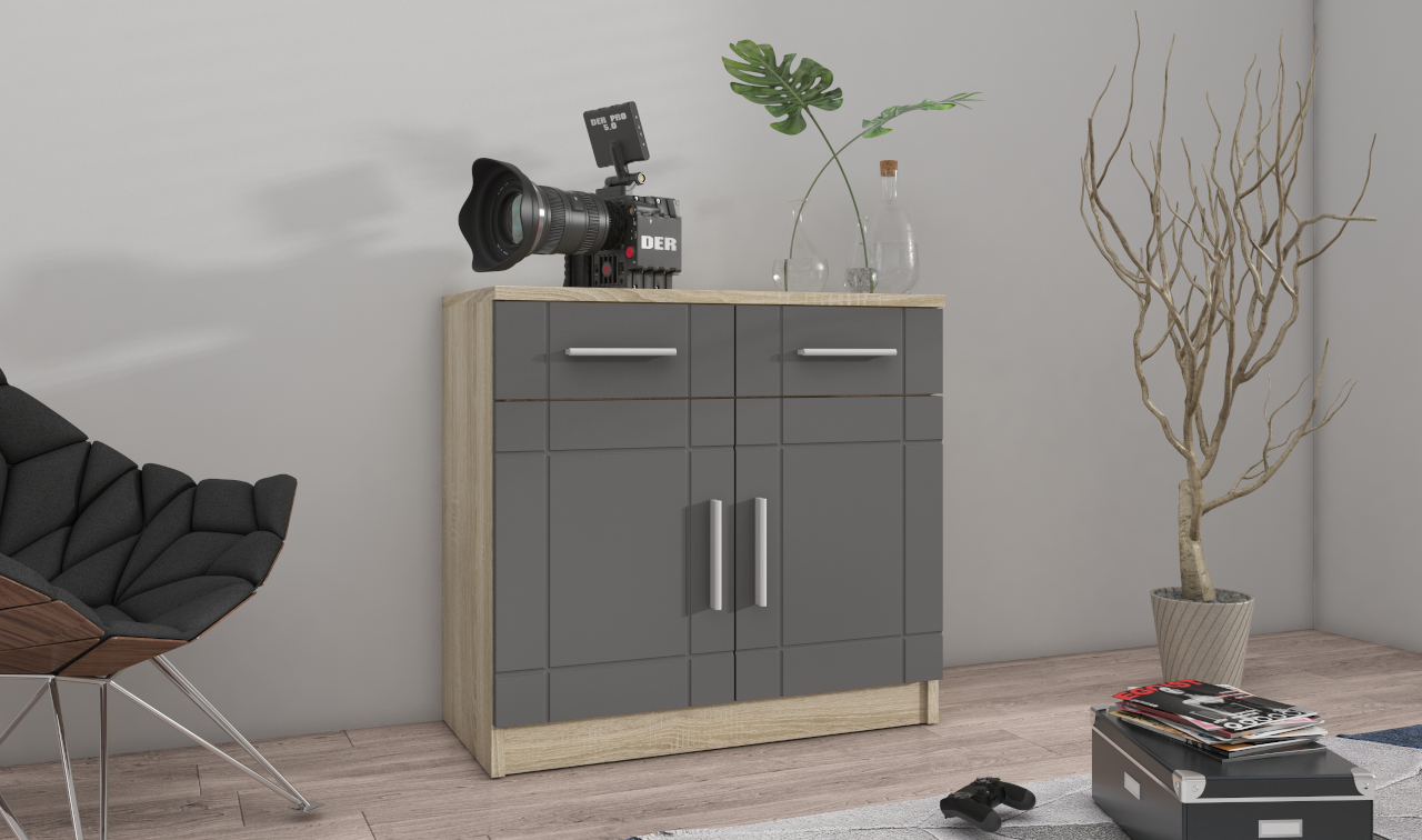 Storage cabinet PARIS 2D oak sonoma / graphite
