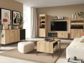 Furniture GISA