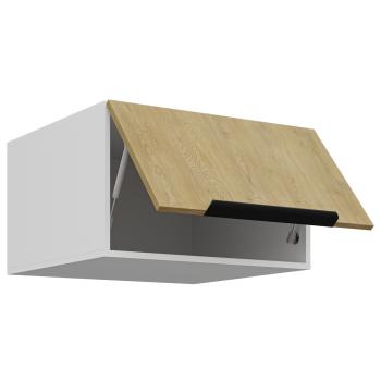 LEMPERT-60-NAGU-36-1F-CAMERON-21-3